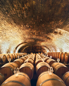 Weinkeller Weingut Von Winning 